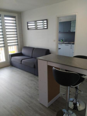 Cocoon T1, 500m centre, proche gare tout confort